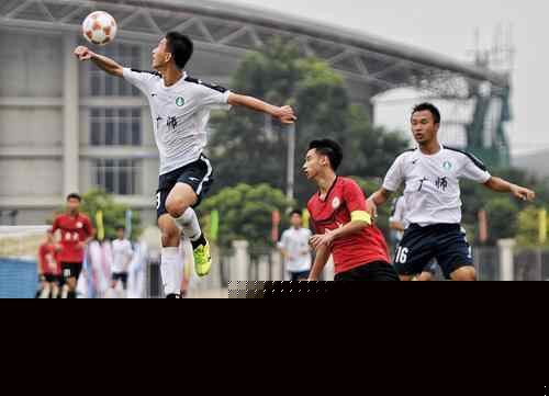 2025年赌博权威体育新闻