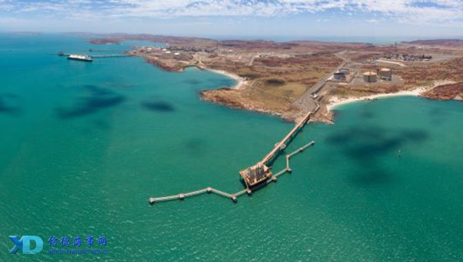 日职联前瞻：新潟天鹅提前降级，柏太阳神仍在为争冠努力